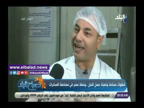صدى البلد | رئيس اتحاد النحالين: تجمد العسل بالشتاء يزيد من قيمته الغذائية