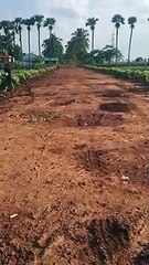 490 yards or Part Commercial Plot at gannavaram Vijayawada JAGGAYYAPETA VATSAVAI PENUGANCHIPROLU NANDIGAMA CHANDARLAPADU KANCHIKA CHERLA VEERULLAPADU IBRAHIMPATNAM G KONDURU MYLAVARAM A KONDURU GAMPALAGUDEM TIRUVURU VISSANNAPET REDDIGUDEM PENAMALURU