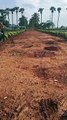 Commercial Plot 490 yards or Part sale near gannavaram airport Vijayawada