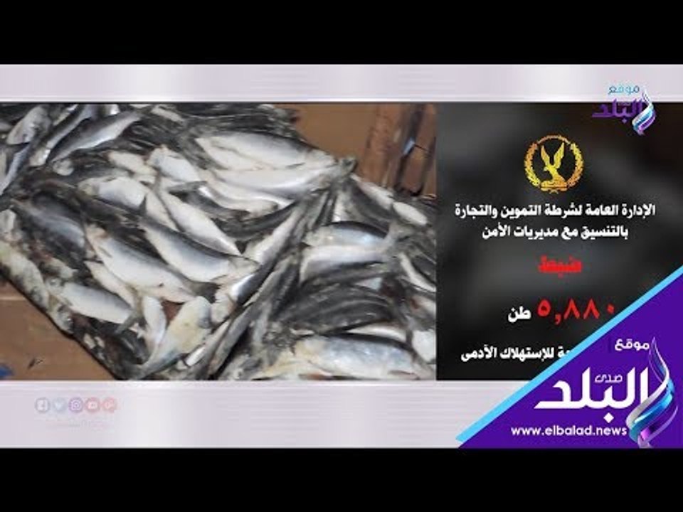 صدي البلد | ضبط 123 قضية تموينية خلال 24 ساعة