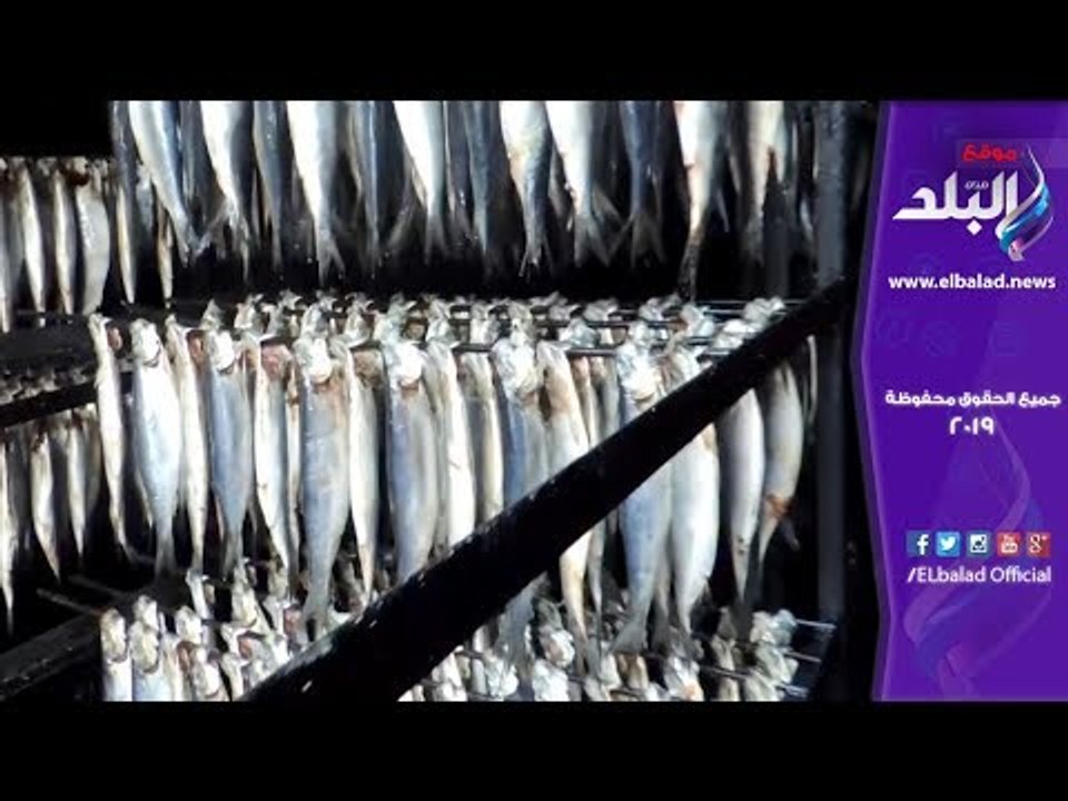 صدى البلد | الداخلية تضبط 70 طن سكر مدعم و120 قضية تموينىة