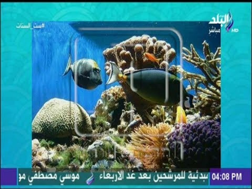 ست الستات - 7 عجائب في مدينة «مرسى علم» تبهر العالم: وضعت مصر على القائمة العالمية للسياحة