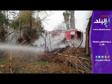 صدى البلد | حريق بمخلفات زراعية بسبب سوء الأحوال الجوية في الشرقية