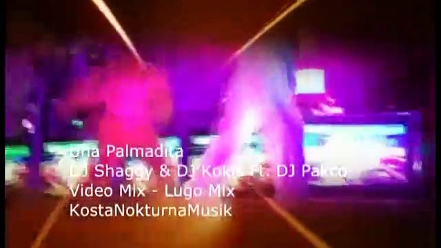 DJ Shaggy DJ Kokis Ft DJ Pakco Una Palmadita 2012