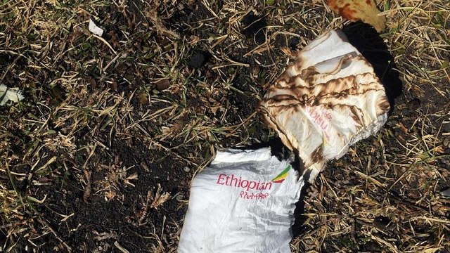 Ethiopian Airlines flight pilot reported ''difficulties''- CEO