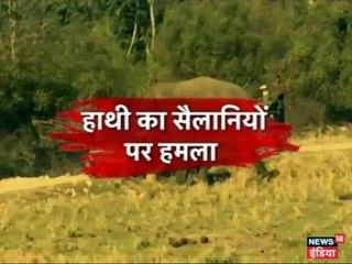 VIDEO: जिम कॉरबेट पार्क में हाथी ने सैलानियों को ऐसे खदेड़ा