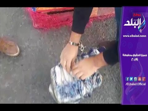 صدى البلد | إحباط محاولة تهريب 356 ألف قرص كبتاجون بميناء سفاجا