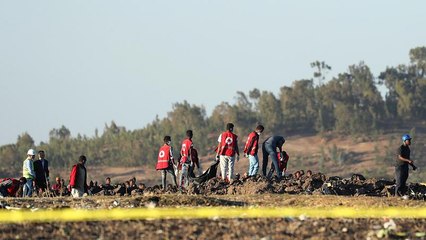 Crash d'Ethiopian Airlines : les Boeing 737 Max cloués au sol (euronews (en français))