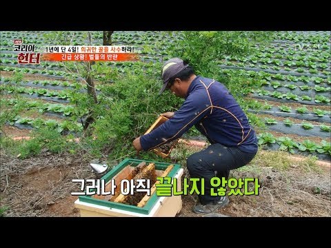 맨 손으로 벌집을 옮기는 헌터! [뉴 코리아 헌터] 52회 20170529