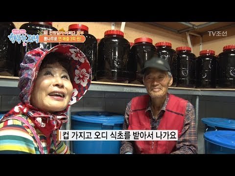 건강에도 좋은 오디식초와 진액! [행복한 저녁] 33회 20170601
