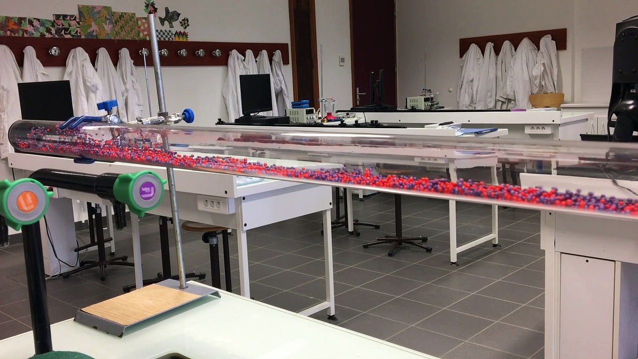 Écouter avec les yeux ! Concours CGénial 2019