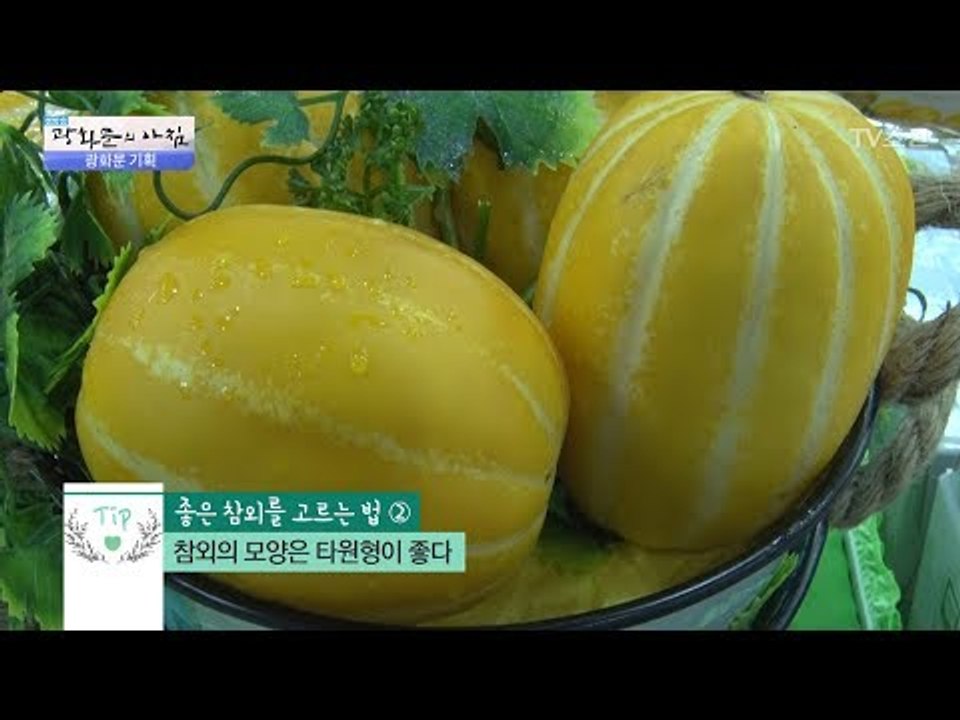 제철 맞은 과일, 참외! 잘 알고 사자! [광화문의 아침] 495회 20170605