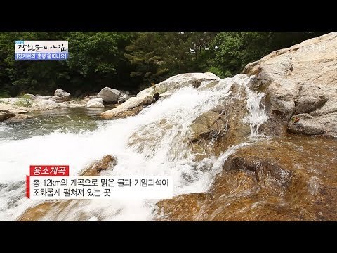 홍천여행 필수코스! 용이 머문 용소계곡! [광화문의 아침] 493회 20170601