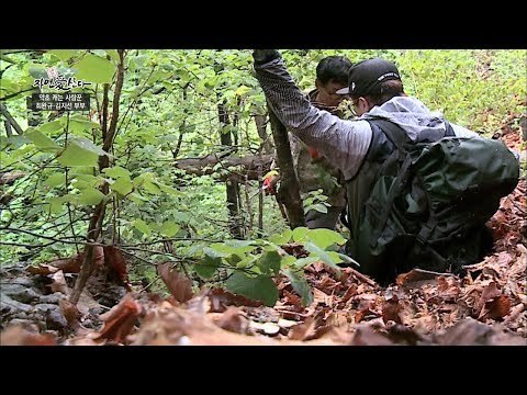위험천만! 결국 산에서 미끄러진 지상렬! [자연愛산다] 7회 20170530
