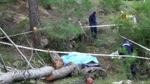 Kestiği ağacın altında kalan yaşlı adam hayatını kaybetti