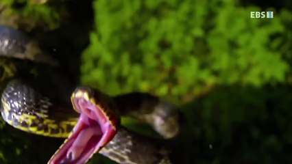 대전출장안마 -여대생！Ø7Øh5222a78Ø2{톡문의ZHF526}대전전지역출장마사지대전출장안마'대전출장마사지황형'출장안마'ÞŦŊ'출장마사지'콜걸'출장마사지'콜걸