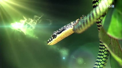 수원출장안마 -여대생！Ø7Øh7575vØØ62【문의톡LJ69】수원전지역출장마사지수원출장안마'수원출장마사지황형'출장안마'œßþ'출장마사지'콜걸'출장마사지'콜걸