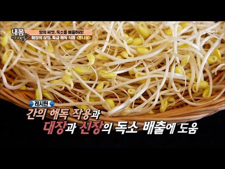 특급 해독 식품! 콩나물! [내 몸 사용설명서] 156회 20170609