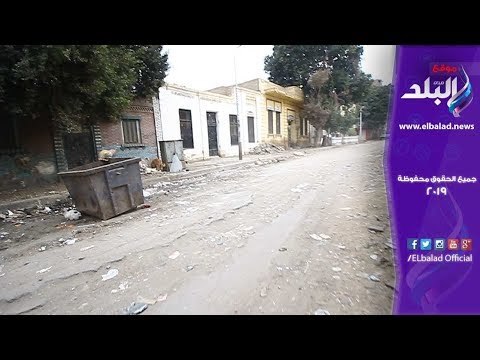 صدى البلد | الجراجات المهجورة ملجأ الكلاب الضالة بمنطقة أرض يعقوب