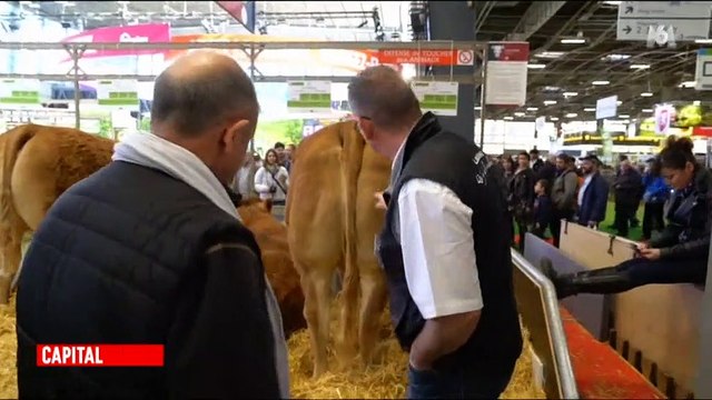 Un responsable boucherie d'un supermarché visite le salon de l'agriculture et ses réflexions ne plaisent pas aux internautes - Vidéo