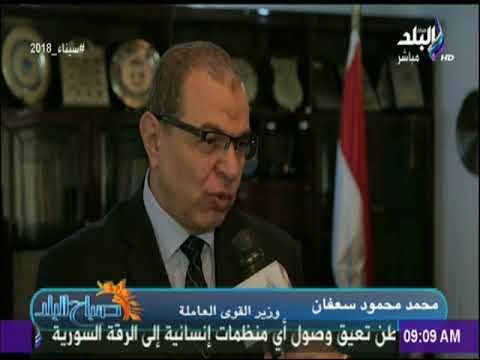 صباح البلد - وزير القوى العاملة يسلم 75 عاملا عقود عملهم بإحدي دول الخليج