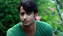 Shaheer Sheikh's Dastaan-E-Mohabbat Salim Anarkali Ended Abruptly,Here's Why | FilmiBeat