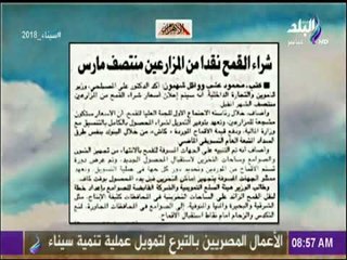 صباح البلد - شراء القمح نقدا من المزارعين منتصف مارس