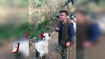 Rizeli çobandan türkü performansı