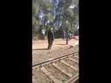 أول فيديو لحادث تصادم قطارين في البحيرة