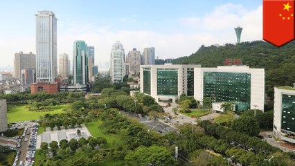 China building water absorbent 'sponge cities'