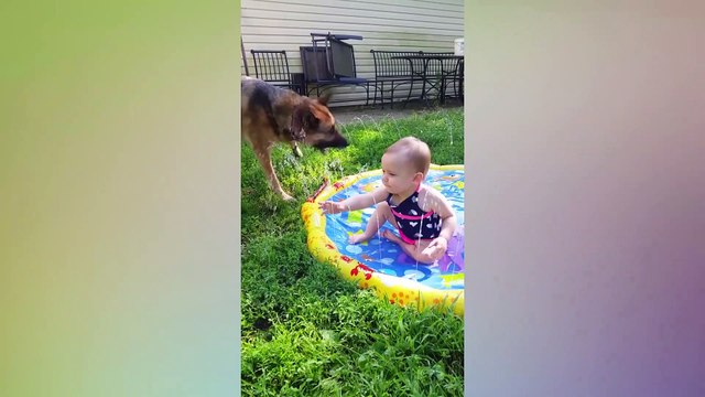 Funny Babies and Dogs are Best Friends - Fun and Fails Baby Video_2019