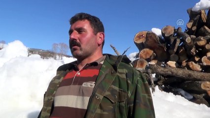 Muş'taki besicilerin zorlu kış mesaisi sürüyor