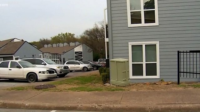 Stranger Said 'Sorry' Then Shot Pet Dog In The Face