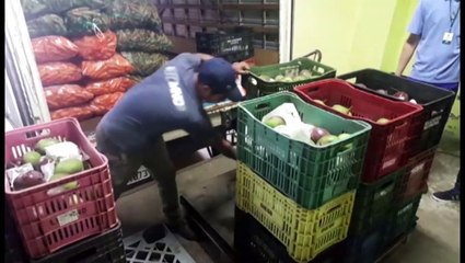 Merenda: quase duas toneladas de cenoura são devolvidas durante fiscalização