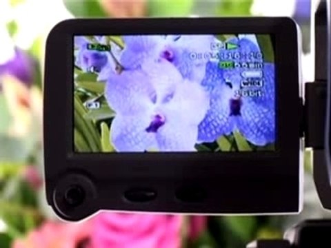 Canon MD101 Digital Mini DV Camcorder