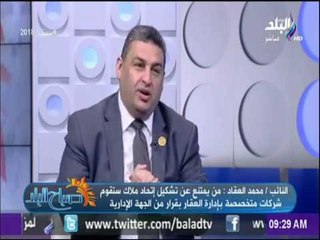 صباح البلد - النائب محمد العقاد: لدينا فى الإسكندرية 350 ألف قرار إزالة