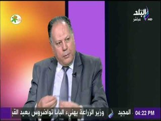 كلام في فلوس - بعد قرار استيرادها.. تعرف على أسعار السيارات الكهربائية