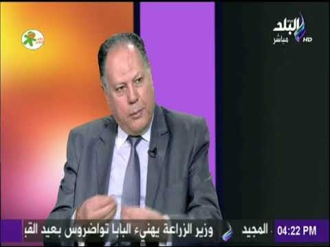 كلام في فلوس - بعد قرار استيرادها.. تعرف على أسعار السيارات الكهربائية