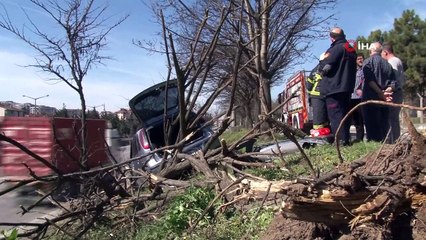 Ağaçları devirdi, aydınlatma direğine çarparak durabildi: 1 yaralı