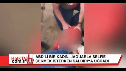 Jaguarla selfie çekmek pahalıya patladı