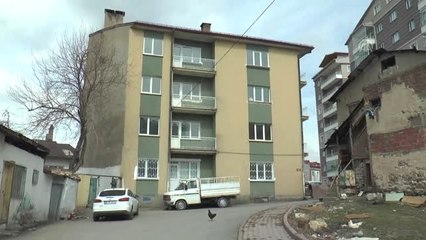 Kedi Kurtarma Operasyonu