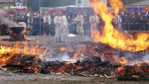 These fire-walking Buddhist monks in Japan certainly won't to be getting cold feet