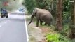 Unbelievable Video of Tourists Narrowly Escaping Rogue Elephant Attack
