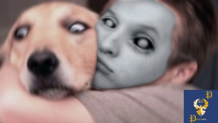 Funny Dogs Scared of Masks - Part 4