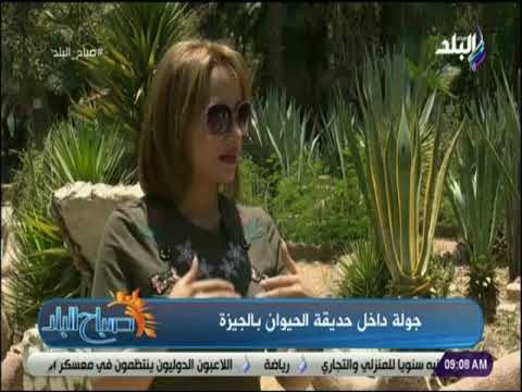 صباح البلد - هند النعسانى داخل حديقة الحيوان بالجيزة ..أكبر وأعرق حديقة في الشرق الأوسط وأفريقيا