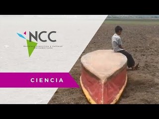 Reporte global sobre degradación de suelos arroja cifras alarmantes