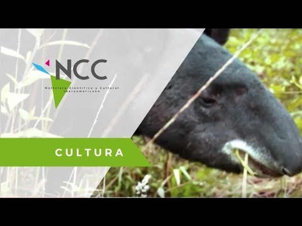 Fauna silvestre amenazada es respaldada por el Banco Central