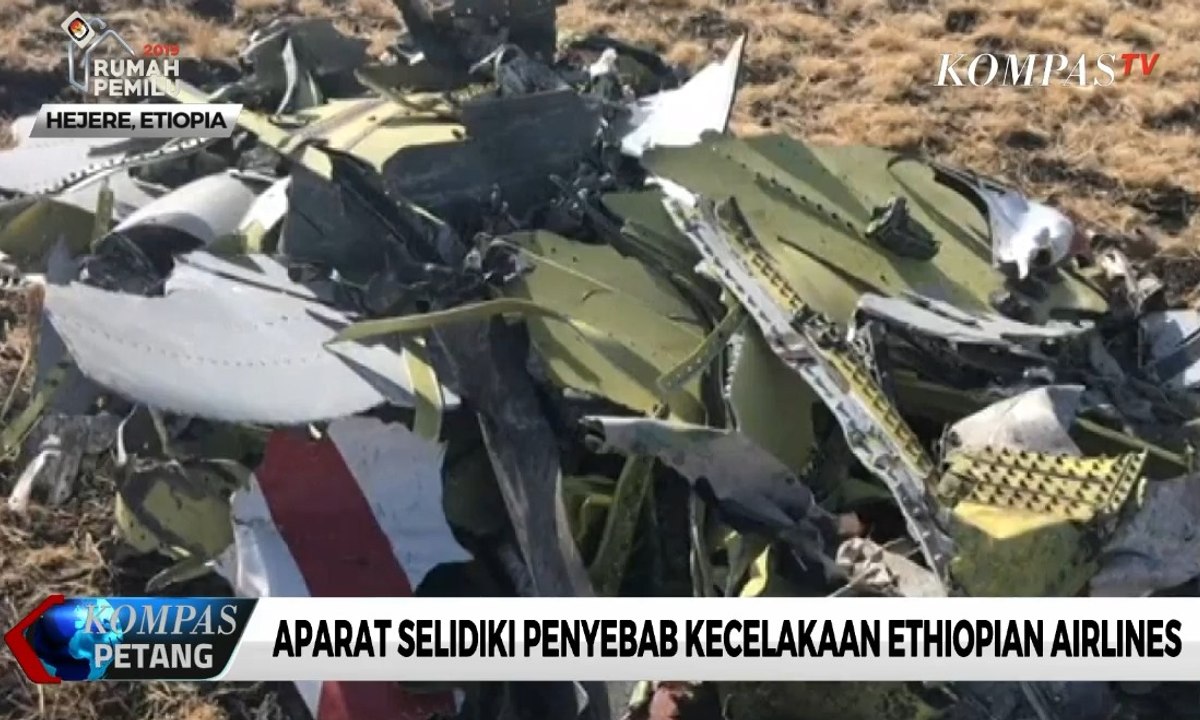 Ethiopian Airlines Bentuk Tim Investigasi