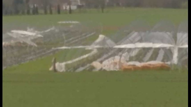 Wanze: les serres du producteur bio Jolly se sont envolées pendant la tempête