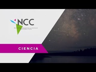 Expertos apelan por el derecho a la oscuridad